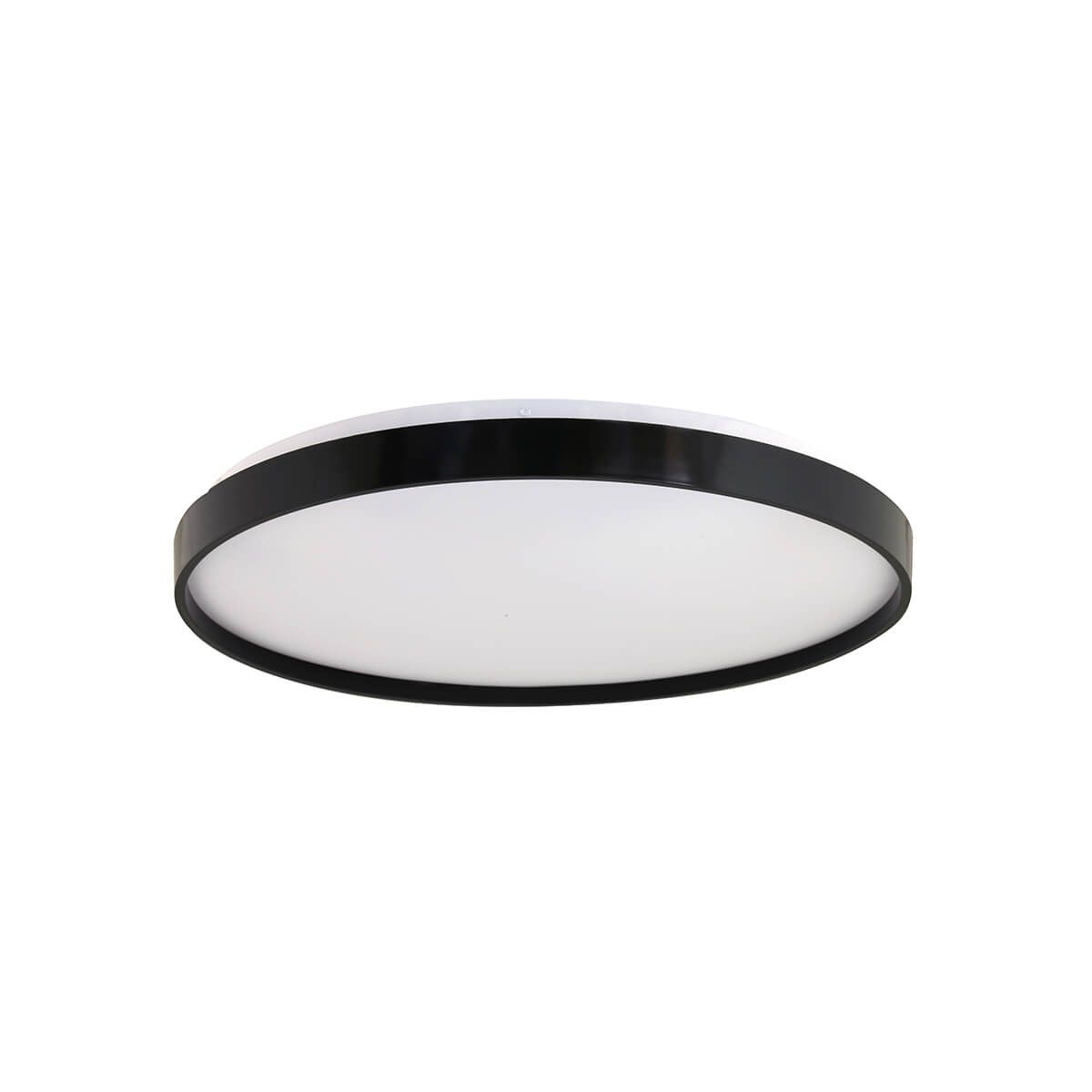 SM2101B/50CT ONLINE CEILINGMOUNTED LIGHTS buy low price in