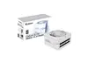GIGABYTE AORUS ELITE P1000W ICE - 1000W Power Supply Unit, PCIe 5.0, 80 PLUS Platinum, Fully modular