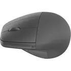 DeLOCK 12531 - Mouse, Ambidextrous, USB, Type-A, Optical 4800DPI, Black, image 3