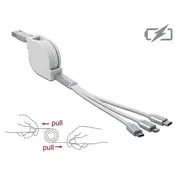 DeLOCK 85850 USB cable 0.98 m 2.0 USB A USB C/Micro-USB B/Lightning Silver,White