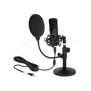 Delock 66300 - Professional USB Condenser Microphone Set for Podcasting and Gaming