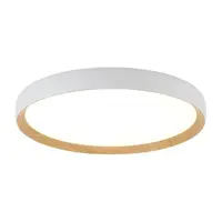 Ceiling-Mounted Lights
