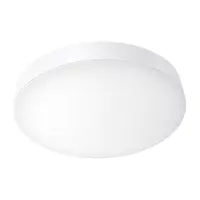 Ceiling-Mounted Lighting