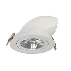 שקוע תקרה עין זיקית 30W אור קר