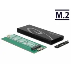 DeLOCK 42570 - SSD Enclosure, SSD to  USB 3.1