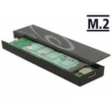 DeLOCK 42597 - SSD Enclosure, M.2, Black