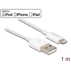Delock CA-770220 - Apple Lightning To A Male, 1m