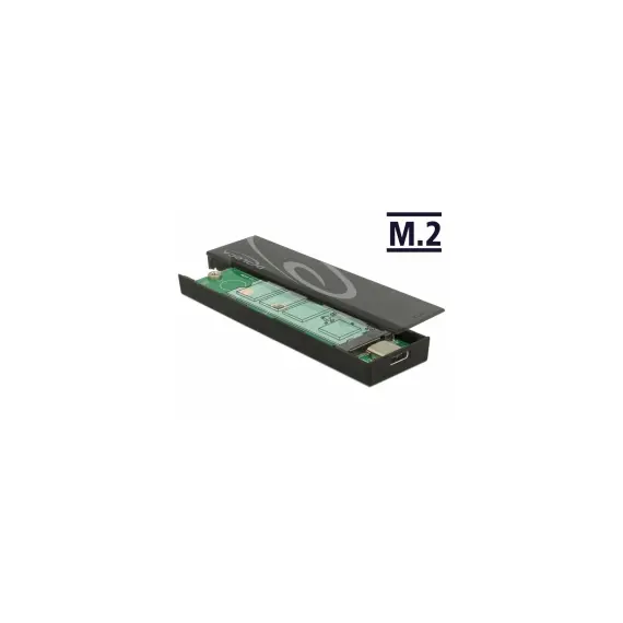DeLOCK 42597 - SSD Enclosure, M.2, Black
