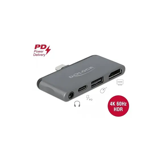 Delock D87751 - Type-C Docking Station for iPad Pro