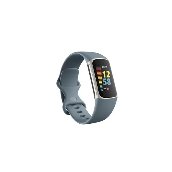 Fitbit Charge 5 - Activity Bracelet, Grey