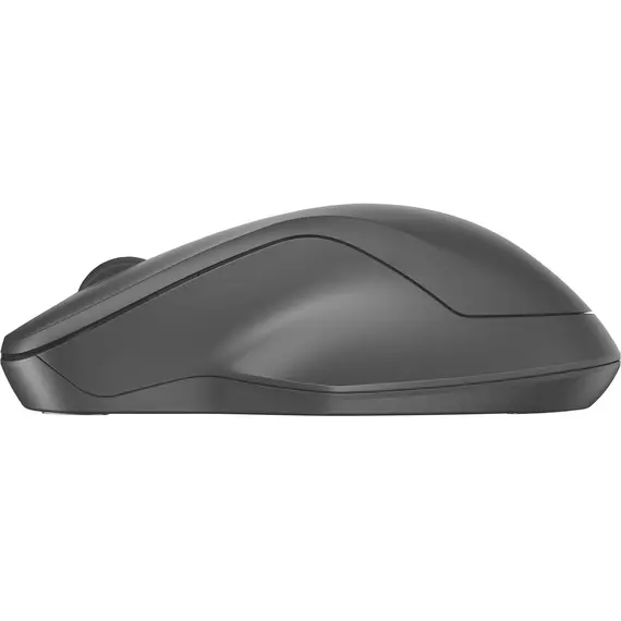 HP 255 8R3U1AA - Dual Wireless Mouse, Black