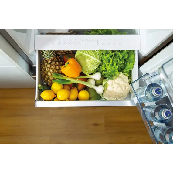 Gorenje 737397 Refrigerator - F, 1850 mm, Silver, 1YR – מקרר, תמונה 21