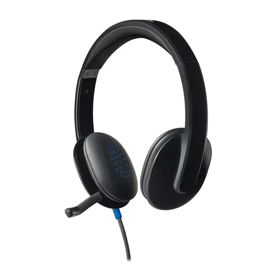 Logitech H540 98100-048-00 - USB Headset With Microphone