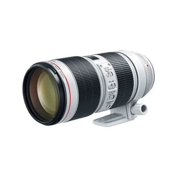 Canon EF 70-200mm f/2.8L IS III USM SLR, White
