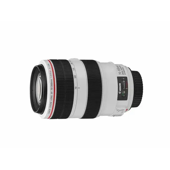 Canon EF 70-300mm f/4-5.6L IS USM SLR, White