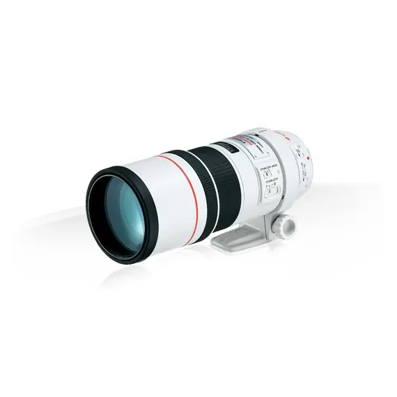 Canon EF 300mm f/4L IS USM