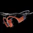 SHOKZ S710-ST-RD Headphones - Open-ear, Wireless, Built-in Microphone, IP68, Red, 2YR, imagen 8